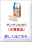 マンナンヒカリ