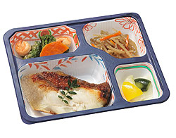 タンパク制限食A
